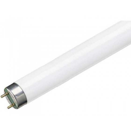Imagine Tub fluorescent TL-D 18W Snow White Philips