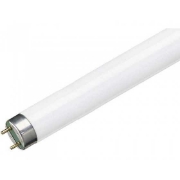 Imagine Tub fluorescent TL-D 18W Snow White Philips