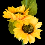 Imagine Lampă Solară Decorativă Floarea Soarelui Rebel