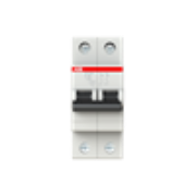Imagine Întrerupător automat bipolar 20A 4.5kA ABB