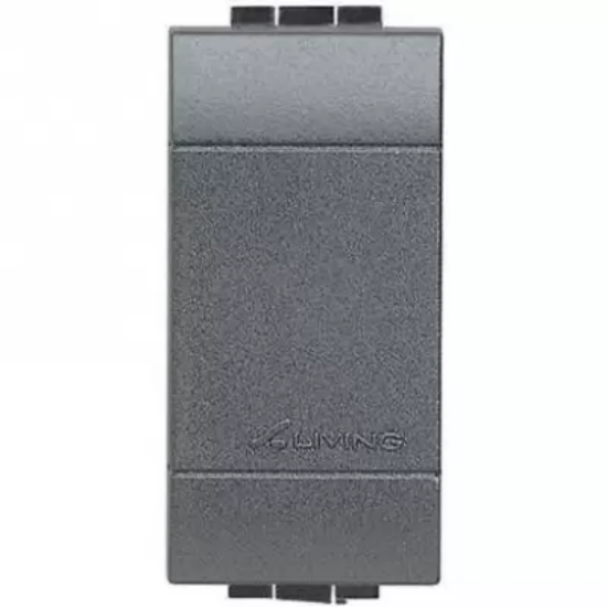 Imagine INTRERUPATOR CAP-SCARA AXIAL 10A 1M ANTRACIT LIVING LIGHT L4053AN
