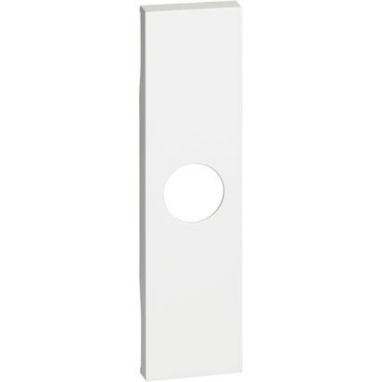 Imagine Placă priză TV 1M BTicino Living Now albă