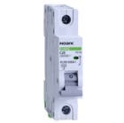 Imagine Siguranță automată Ex9BS 1P C25 25A 4.5kA