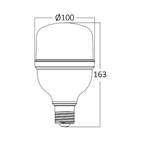 Imagine Bec LED 30W T100 6500K 3000LM E27