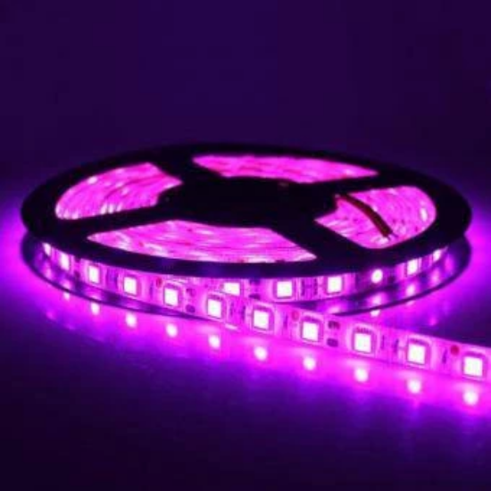 Imagine Banda LED 5050 12W 60LED/m interior magenta II3035
