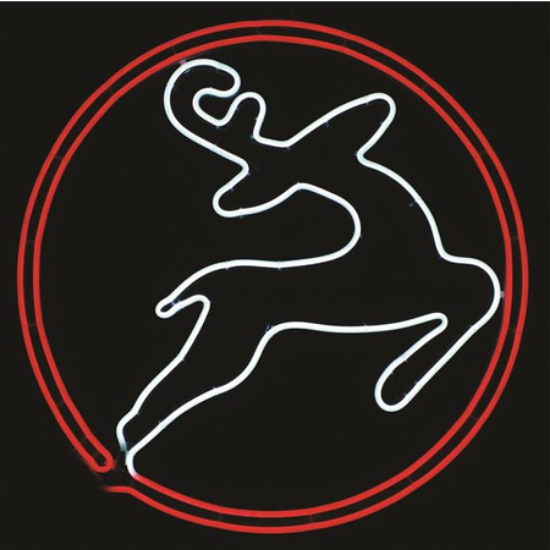 Imagine Decorațiune luminoasă de exterior în formă de cerb cu 720 LED-uri alb cald și cablu negru de 1m