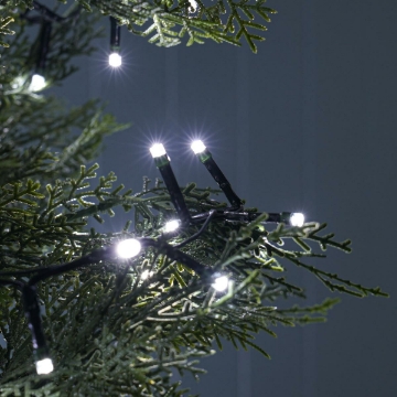 Arată detalii pentru Șir luminos, 100 LED Alb natural, 230V, Interconectabil, IP67, cu cablu verde 1,5 m Imagine Șir luminos, 100 LED Alb natural, 230V, Interconectabil, IP67, cu cablu verde 1,5 m