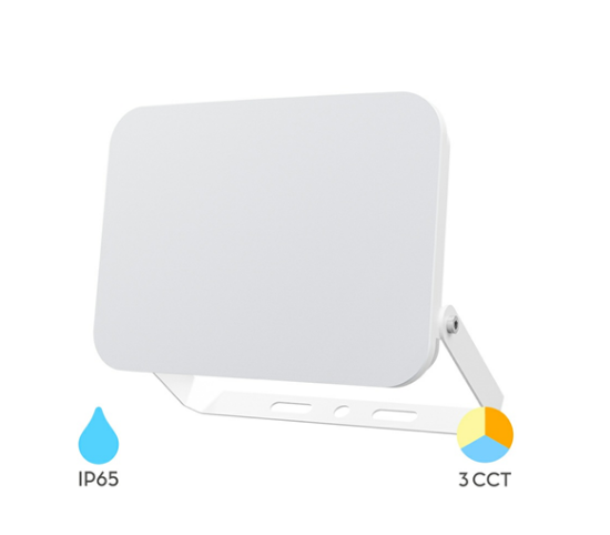 Imagine Proiector LED Slim Braytron 50W 3IN1 IP65 Alb BR-BT60-55080