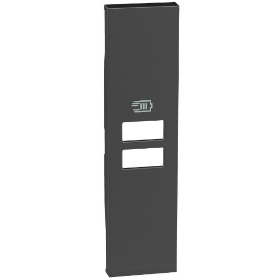 Imagine Placă Bticino Living Now cu Încărcător Dublu USB 1M Negru