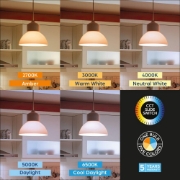 Imagine Bec LED 13.5W 5IN1 A65 PREMIUM E27 BRAYTRON BR-BA13-01380