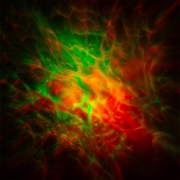 Imagine Proiector laser stele galaxie, model astronaut, Boostarman