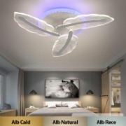 Imagine Ventilator de tavan 35W & plafoniera 22W - satinat & stejar