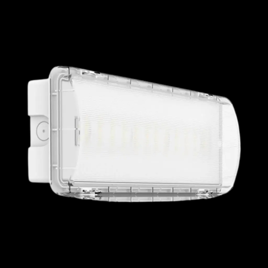 Imagine Maintained/Non-Maintained emergency luminary 38/100lm/3hrs