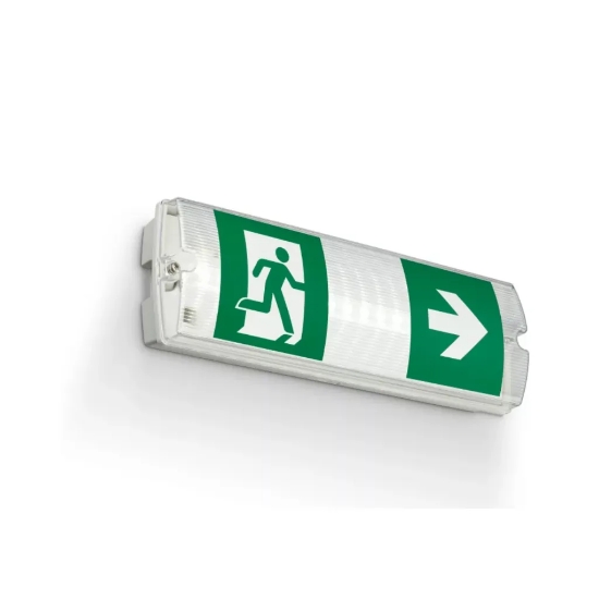 Imagine Maintained/Non-Maintained emergency luminary 38/100lm/3hrs