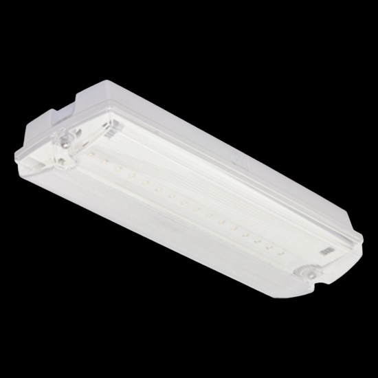 Imagine Maintained/Non-Maintained emergency luminary 38/100lm/3hrs