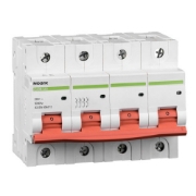 Imagine Siguranță automată Ex9B125 4P C100A 102852