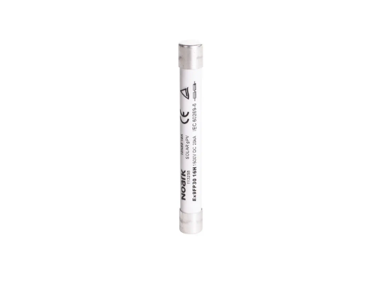 Imagine Fuzibil pentru Ex9FP30H, 10x85mm, 20A