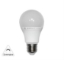 Imagine BEC LED 240V DIMABIL TIP "PARA" E27 12W LUMINA CALDA