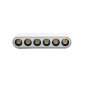 Imagine Corp (lentile la 36 grade) cu LED 6w pentru sina 40VDC lumina alba - alb