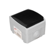 Imagine INTRERUPATOR CU REVENIRE PT gri IP54