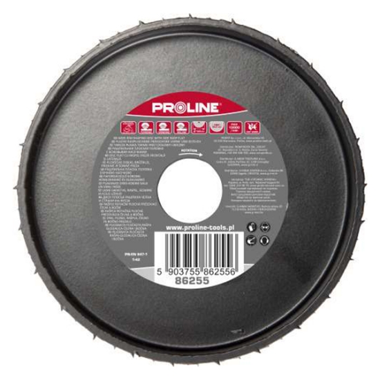 Imagine DISC RASPEL CAROTA PLAT / FRONTAL-LATERAL - 120MM