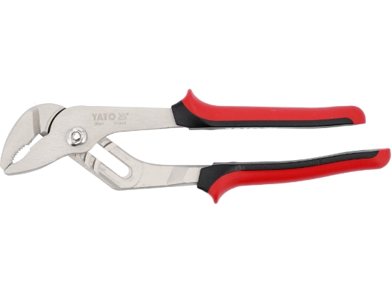 Imagine CLESTE PAPAGAL 250MM