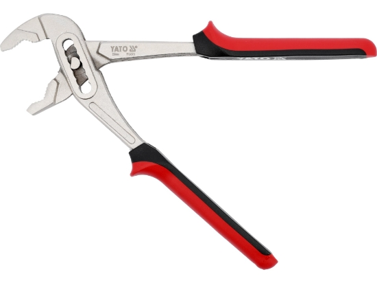 Imagine CLESTE PAPAGAL 250MM