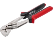 Imagine CLESTE PAPAGAL 250MM