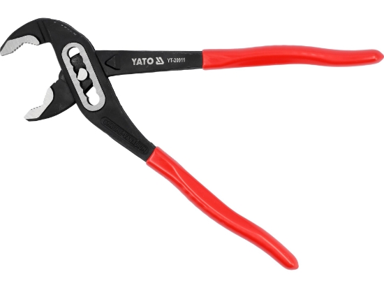Imagine CLESTE PAPAGAL 250MM