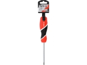 Imagine SURUBELNITA TORX T25X100MM