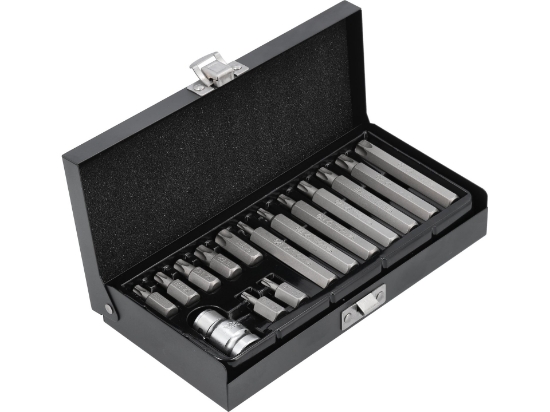 Imagine SET BITI TORX 15 PIESE T20-T55