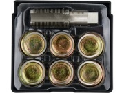 Imagine SET REPARAT BUSOANE BAIE DE ULEI M22X1,5