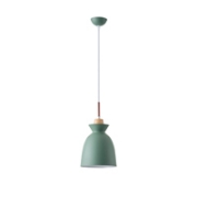Imagine Lumină suspendată metal-lemn unică 1xE27 max 15W 195x1294mm verde-alb-lemn Arte Illumina Dignity