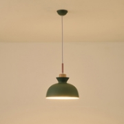 Imagine Lumină suspendată metal-lemn cu un singur bec 1XE27 max 15W Ø280X1234mm verde-alb-lemn Arte Illumina Dignity