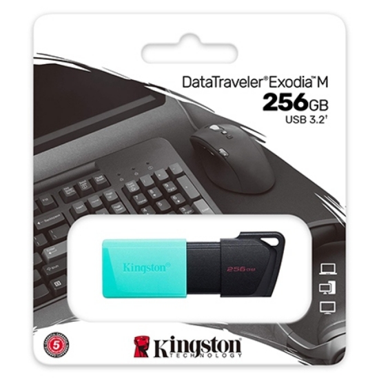 Imagine FLASH DRIVE 256GB DTXM USB 3.2 KINGSTON
