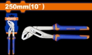Imagine WADFOW - CLESTE PAPAGAL - 10"/250MM
