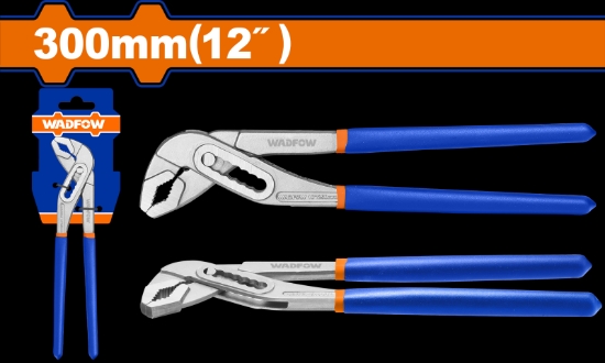 Imagine WADFOW - CLESTE PAPAGAL - 12"/300MM