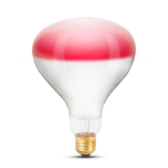 Imagine Bec Infrarosu R125 250W E27 Rosu