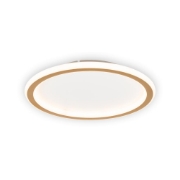 Imagine Plafoniera Gold 40W 40cm 3000-6500K, auriu, Erste