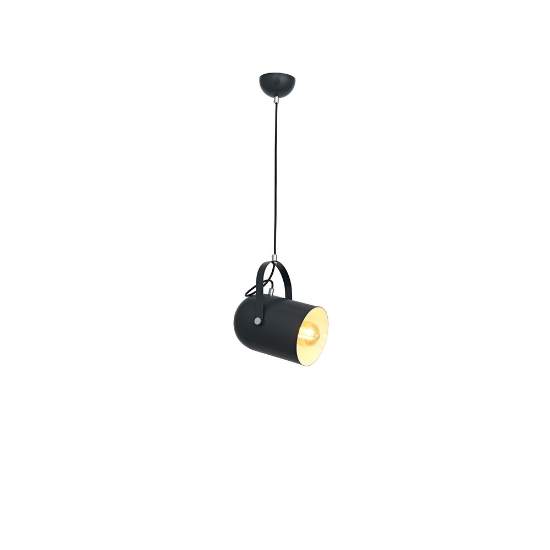 Imagine Pendul Catia 1XE27, negru, Oktay