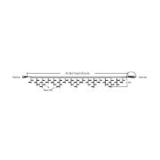 Imagine Ghirlanda Extensibila Flash 50 LED 3.6W 6400K 3M 799 0003 0121