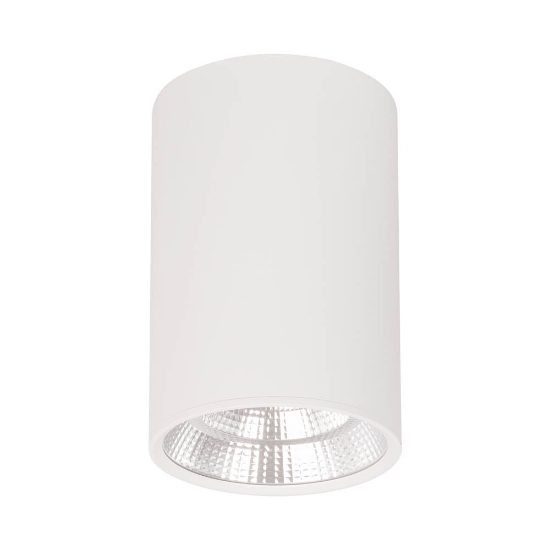 Imagine Spot Bart LED 18W IP20, alb, Erste
