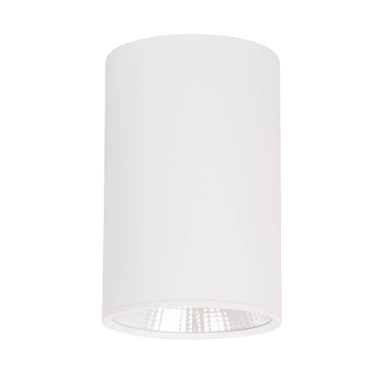 Imagine Spot Bart LED 18W IP20, alb, Erste