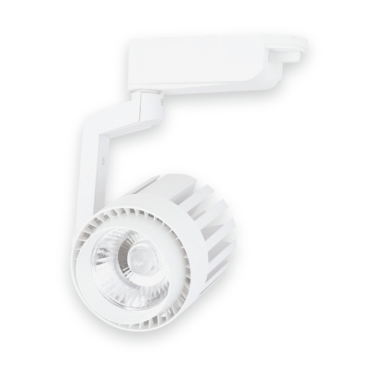 Imagine Spot sina LED 30W 3000K 2700lm, alb, Kendal