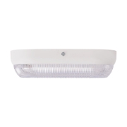 Imagine Corp BAT LED Oval Alb IP54 16W 6500K Dispersor Prismatic - HOMELIGHT
