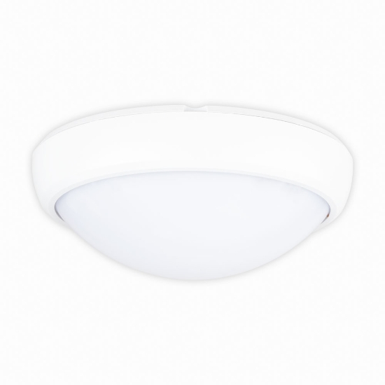 Imagine Corp BAT LED Oval Alb IP65 12W 6400K Dispersor Opal - NOVELITE