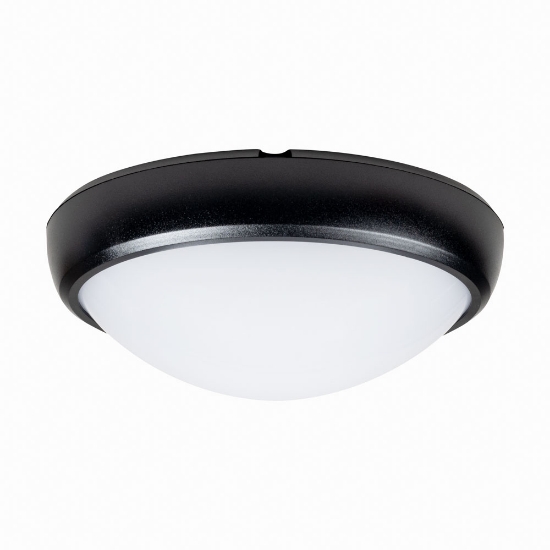 Imagine Corp BAT LED Oval Negru IP65 12W 6400K Dispersor Opal - NOVELITE