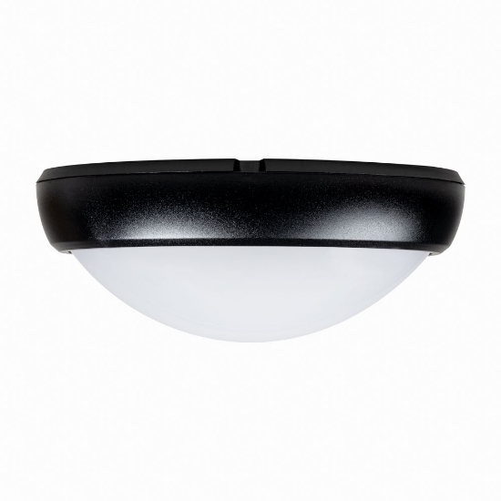 Imagine Corp BAT LED Oval Negru IP65 12W 6400K Dispersor Opal - NOVELITE