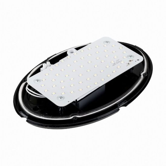 Imagine Corp BAT LED Oval Negru IP65 12W 6400K Dispersor Opal - NOVELITE