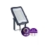 Imagine Proiector LED 100W 3CCT IP65 BVP169 - PHILIPS